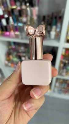 O verniz para as unhas vazio portátil de 10ml 12ml 15ml engarrafa pequeno